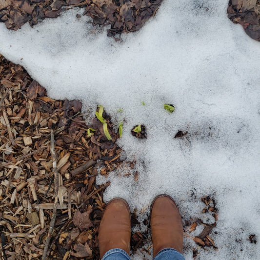 Spring's Seasonal Living Goals